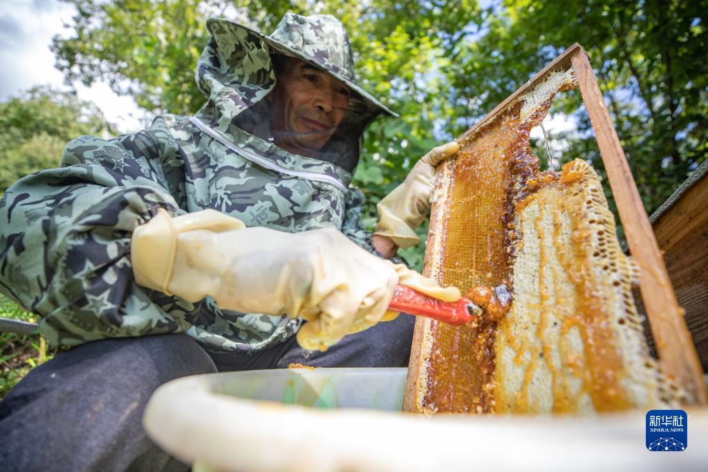 鸿运论坛 天狼星